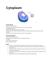 cytoplasm speed dating